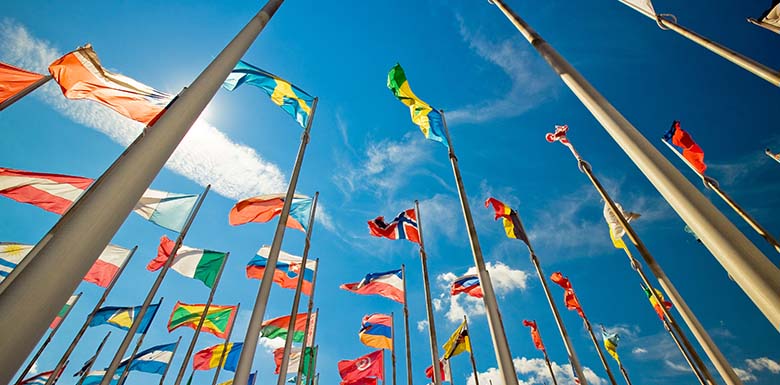 Rows of international flags on flagpoles outside on bright sunny day